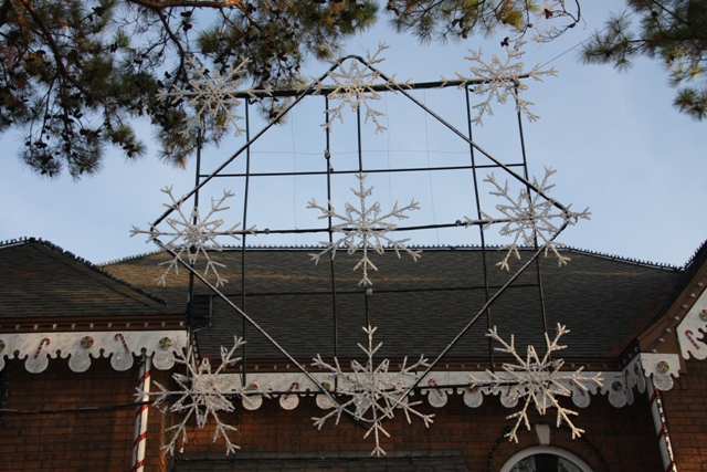 Cosmic Snowflake 2009