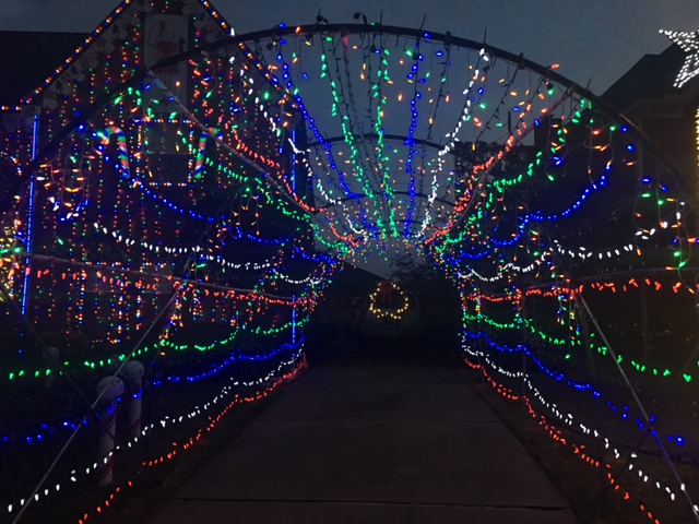 2016 Driveway Tunnel